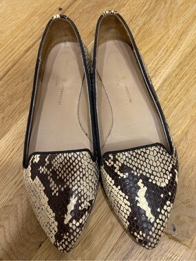 Pointed Toe Snake-Print Ballet Flats - Brown/Cream